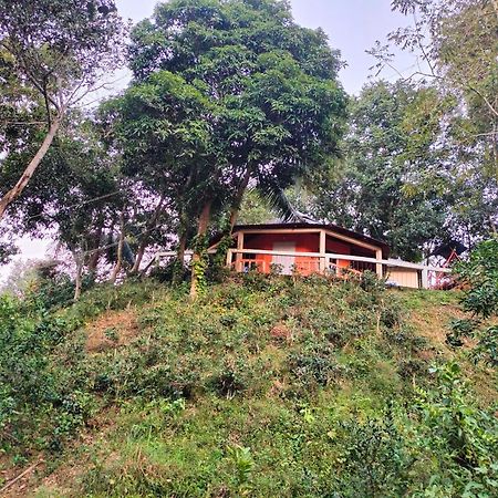Jungle Cottage Sreemangal Δωμάτιο φωτογραφία