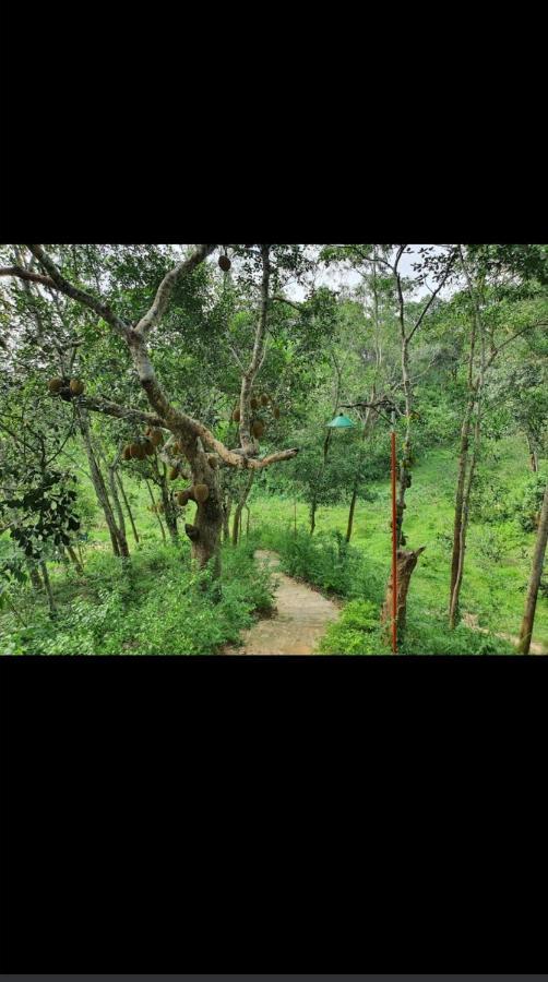 Jungle Cottage Sreemangal Εξωτερικό φωτογραφία