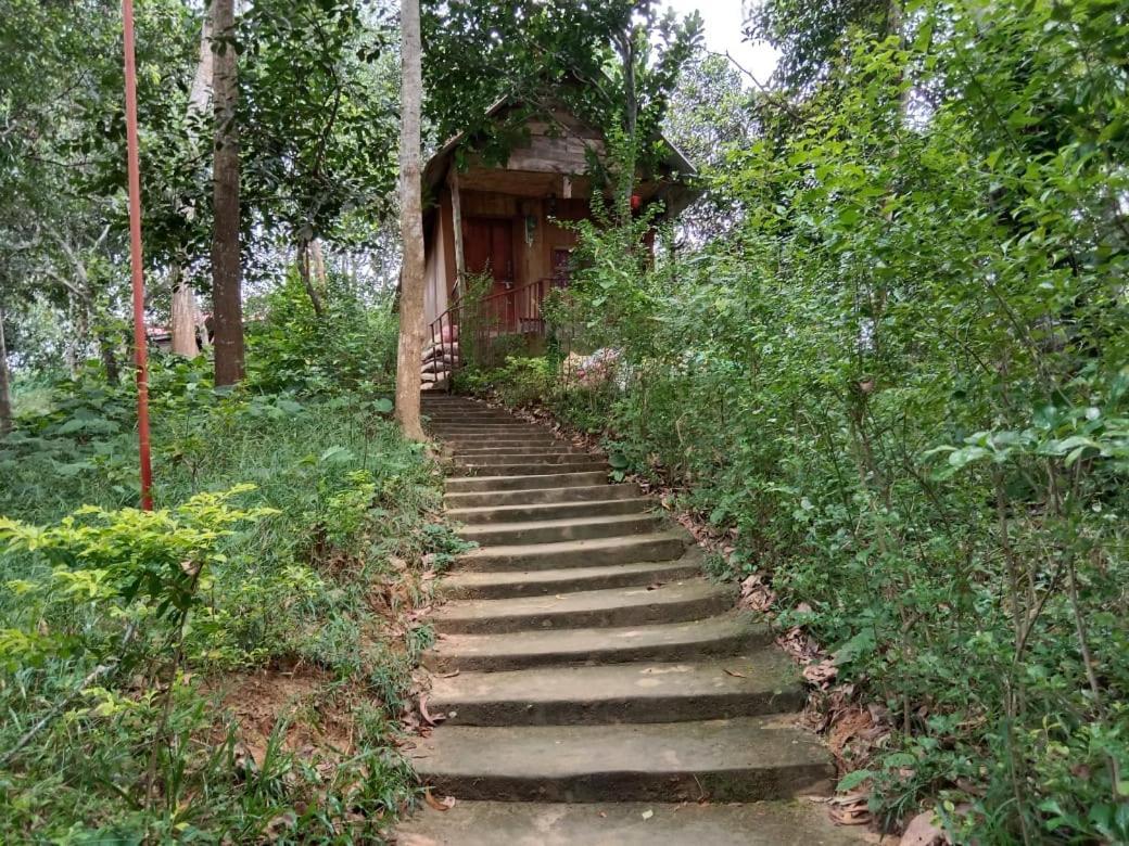 Jungle Cottage Sreemangal Εξωτερικό φωτογραφία