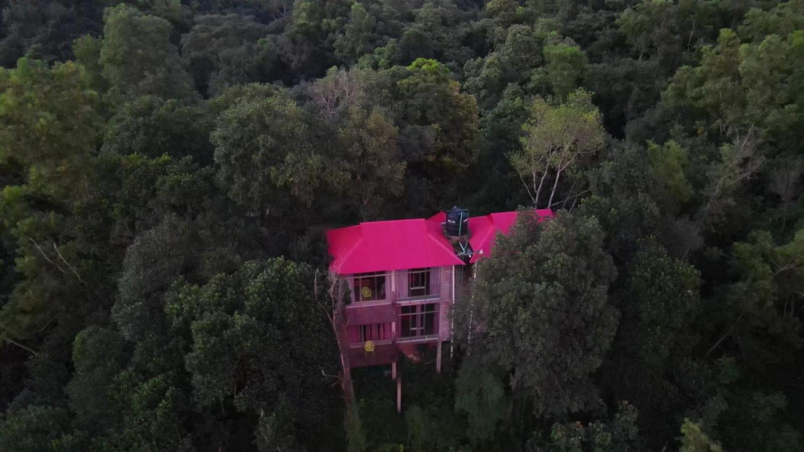 Jungle Cottage Sreemangal Δωμάτιο φωτογραφία