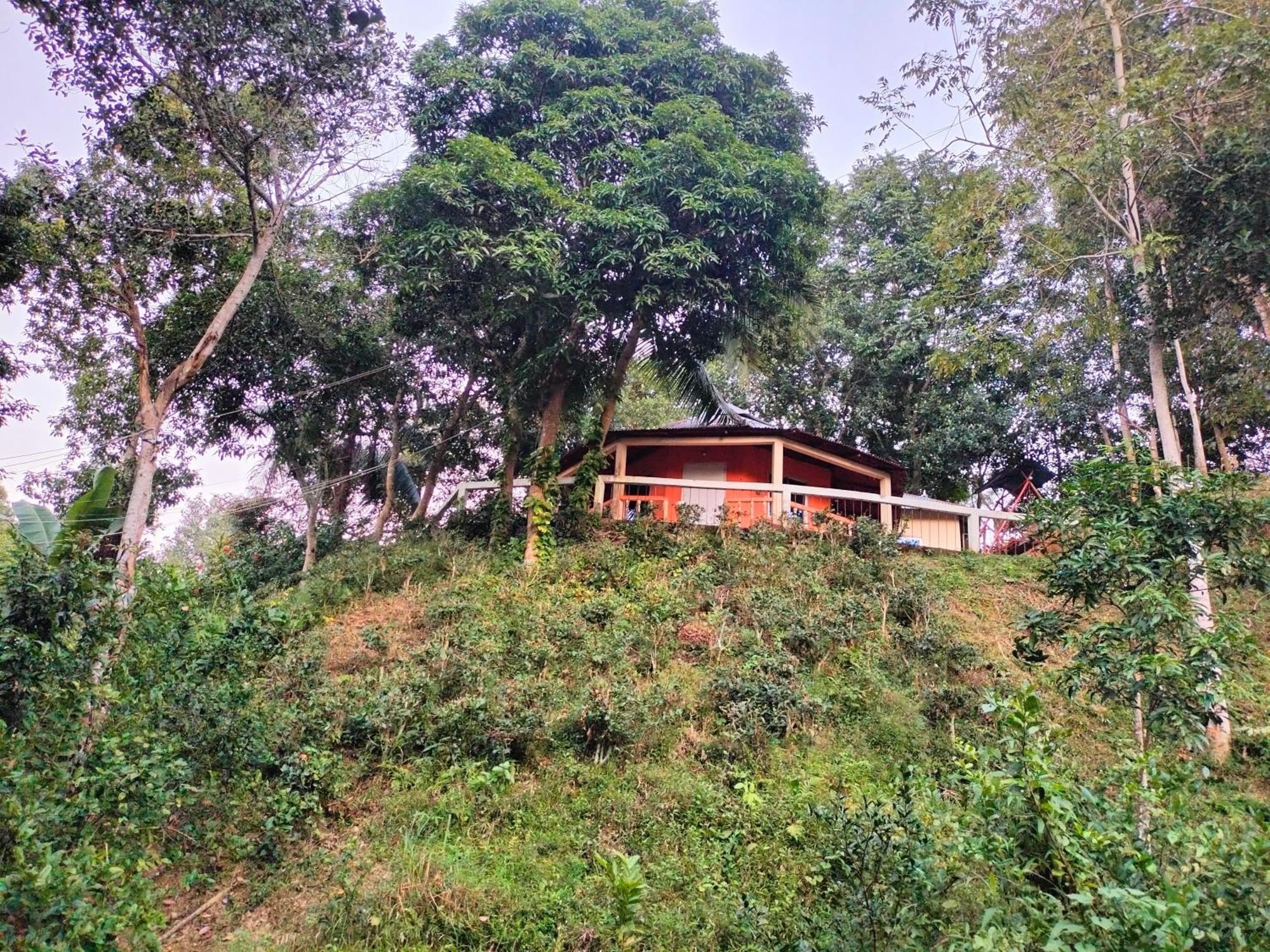 Jungle Cottage Sreemangal Δωμάτιο φωτογραφία
